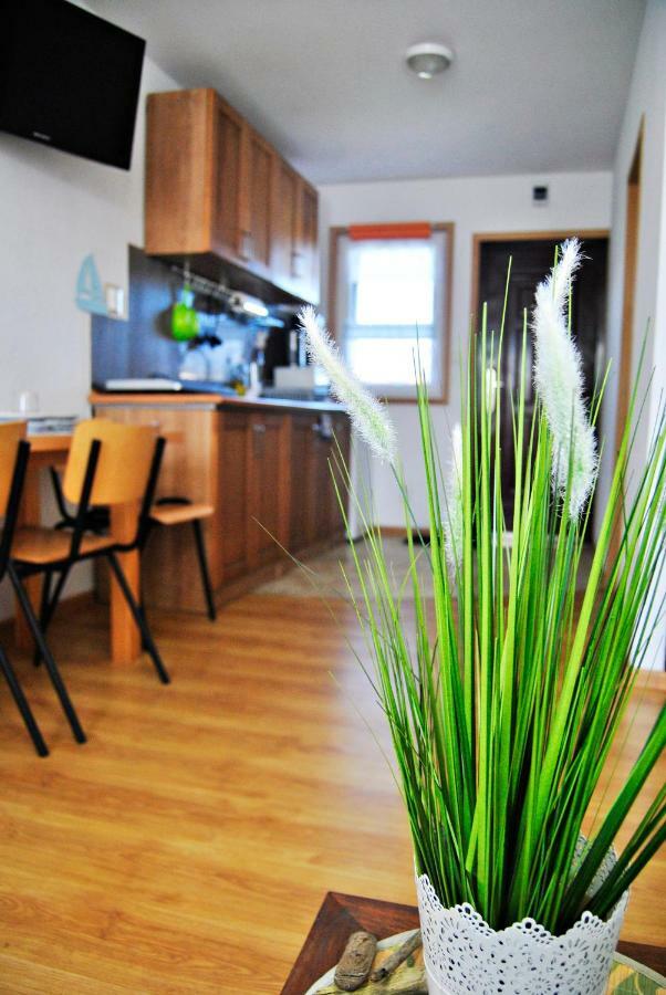 Villa Kwiatu Paproci à Rusinowo  Extérieur photo